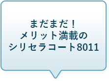お試しの手順について