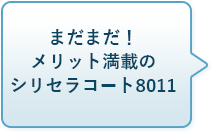 お試しの手順について